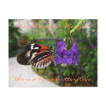 Piano Butterfly Postcard / Quote