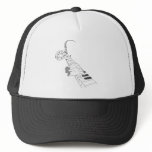 Piano Music Hats