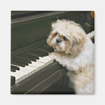 piano player fridge magnets