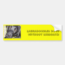 pic4, Labradoodles do it without shedding! Bumper Stickers