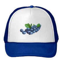 pic_11 mesh hats