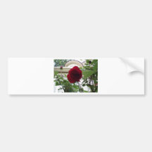 pic from the ride and flowers 049 bumper stickers