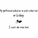 Pick Girlfriend or Ecology photo sculptures