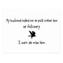 Pick Husband or Falconry Postcards