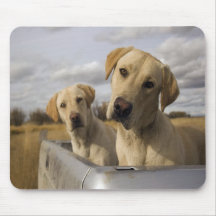 Pick Up Pups Mousepad