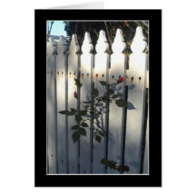 Picket Fence Cards