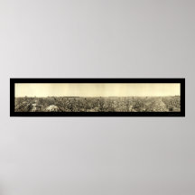 Picking Cotton Photo 1917 Print