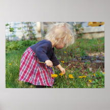 Picking Dandelions Posters