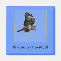 Picking up the Mail! Magnet