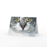 Pickle the Cat Card