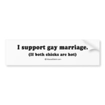 Pickup Lines - "I support gay marriage if both chi