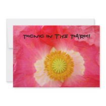 PicNic in the Park! Invitation Cards BBQ Celebrate