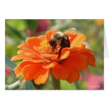 Picnic in the Parking Lot Greeting Cards