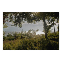 Picnic Table Photo