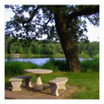 Picnic table under an old tree near the river mn personalized invites