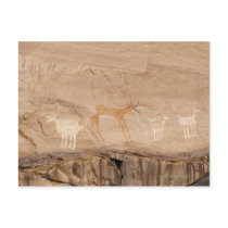 Pictographs of antelope, sheep and goats on postcard