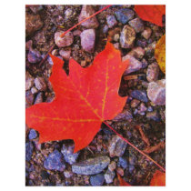 Picture apr 2008 012 letterhead design