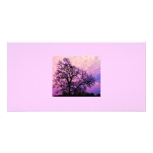 Picture card