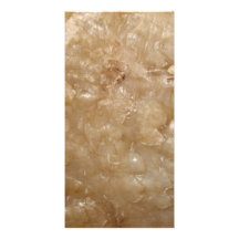 Picture of a Brown Shell. Personalized Photo Card