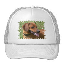 Picture of a Dachshund Dog Baseball Hat