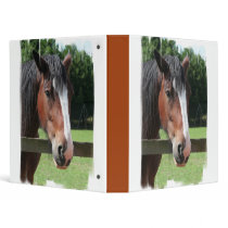 Picture of a Quarter Horse Binder