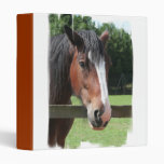Picture of a Quarter Horse Binder