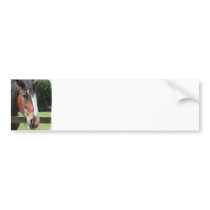 Picture of a Quarter Horse Bumper Sticker