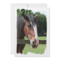 Picture of a Quarter Horse Invitation