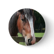 Picture of a Quarter Horse Round Button