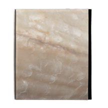 Picture of a shell. iPad folio cases