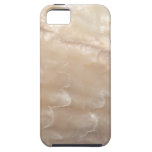 Picture of a shell. iPhone 5 cases