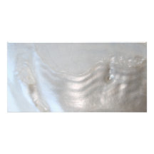 Picture of a Shell. Photo Cards