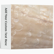 Picture of a shell. vinyl binder