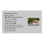 Picture of Chipmunk with China Teacup Business Card Templates