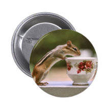 Picture of Chipmunk with China Teacup Button