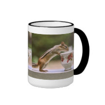 Picture of Chipmunk with China Teacup Coffee Mugs