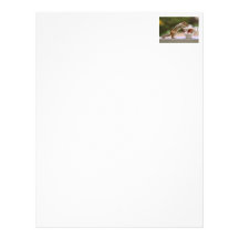 Picture of Chipmunk with China Teacup Customized Letterhead