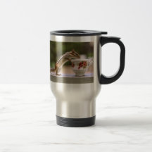 Picture of Chipmunk with China Teacup Mugs