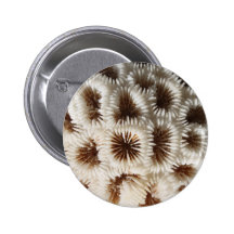 Picture of Coral. Pinback Button