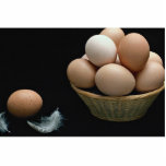 Picture of Eggs arranged in a bowl Photo Cutout