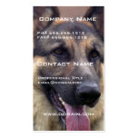 Picture of German Shepherd Business Card