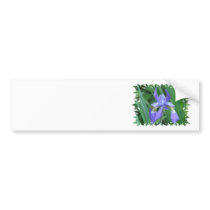 Picture of Iris Bumper Sticker