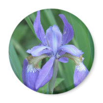 Picture of Iris Round Magnet