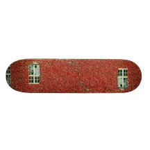 Picture of Ivy on building wall with single window Skateboards