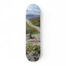 Picture Of Path In Lake District Taken From The Gr Skate Decks