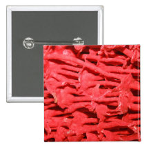 Picture of Red Organ Pipe Coral. Pins