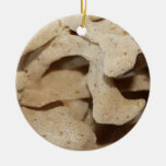 Picture of Sea Sponge. Ornaments