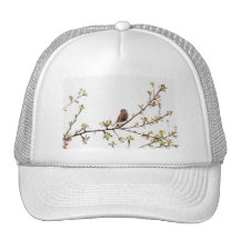 Picture of Sparrow Singing in Flowering Tree Hat