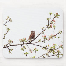 Picture of Sparrow Singing in Flowering Tree Mouse Pads