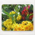 Picture Of Various Flowers In Blossom Mouse Pads
